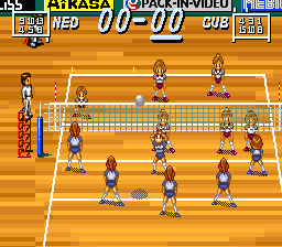 Multi Play Volleyball (Japan) In game screenshot